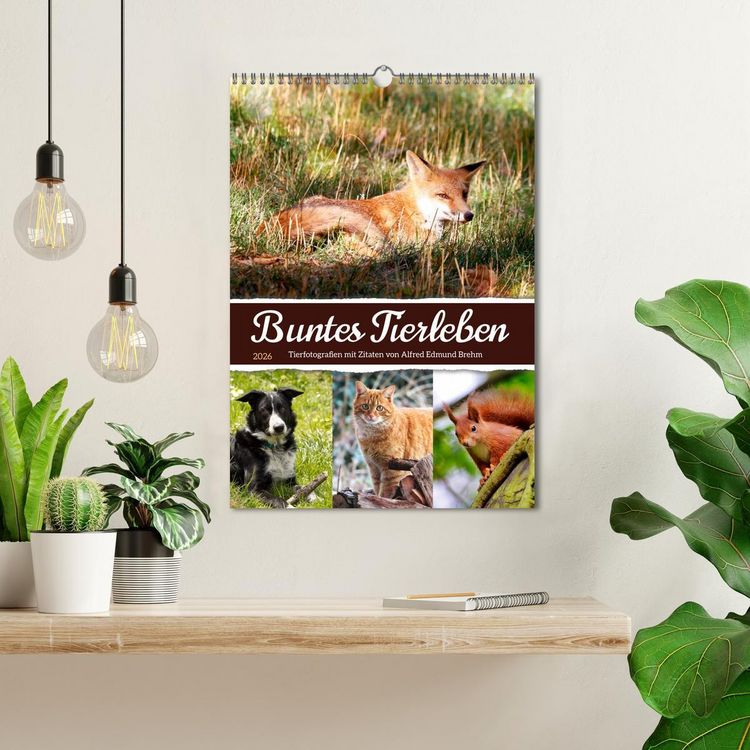 Produktbild: Buntes Tierleben (Wandkalender 2026 DIN A3 hoch), CALVENDO Monatskalender