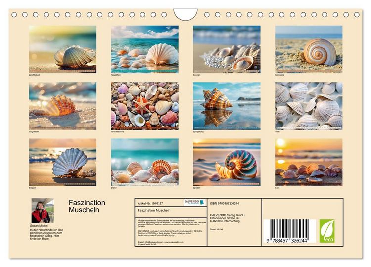 Produktbild: Faszination Muscheln (Wandkalender 2026 DIN A4 quer), CALVENDO Monatskalender