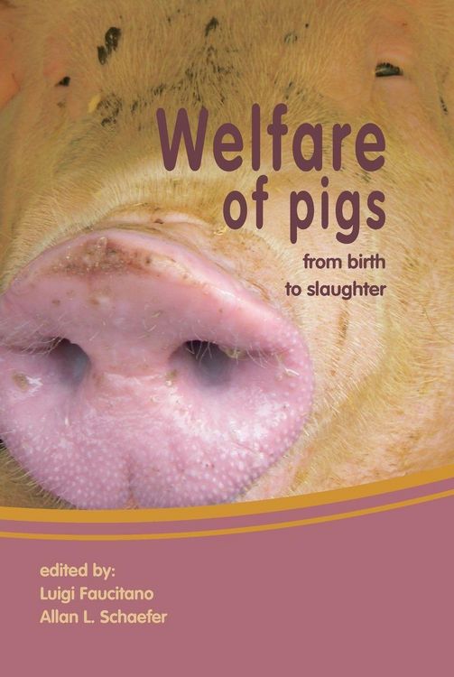 Produktbild: Welfare of pigs