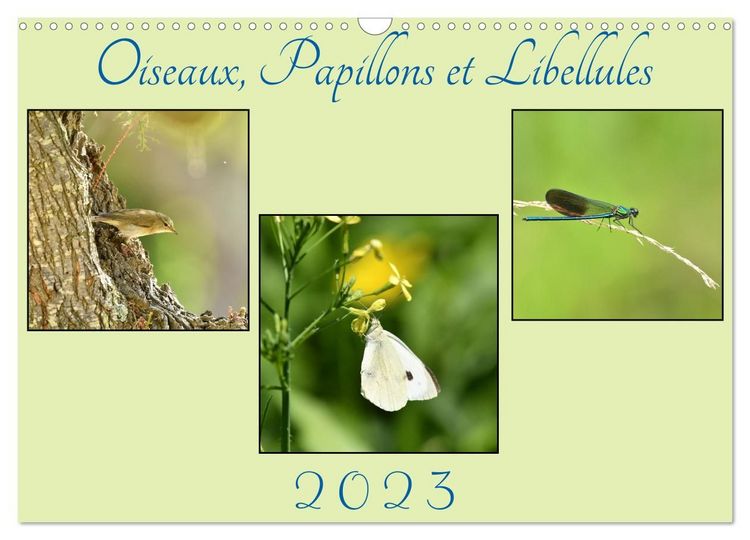 Produktbild: Oiseaux, Papillons et Libellules (Calendrier mural 2027 DIN A3 vertical), CALVENDO calendrier mensuel