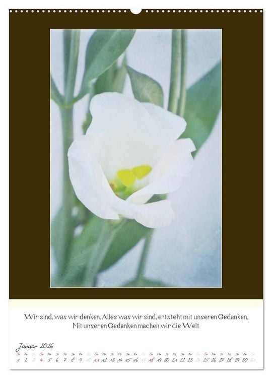 Produktbild: Der Buddhistische Weisheiten Kalender (Wandkalender 2026 DIN A2 hoch), CALVENDO Monatskalender