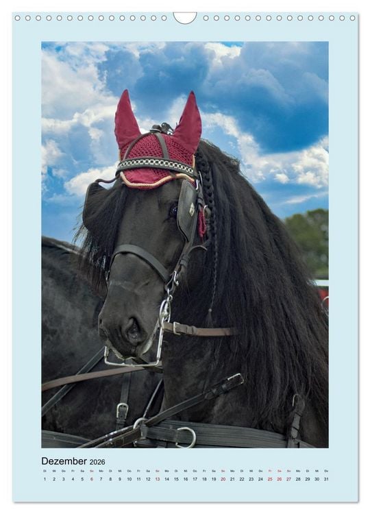 Produktbild: Kutschpferde im Portait (Wandkalender 2026 DIN A3 hoch), CALVENDO Monatskalender