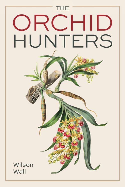 Produktbild: Orchid Hunters