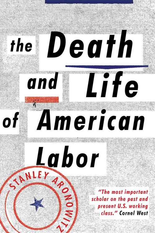 Produktbild: The Death and Life of American Labor