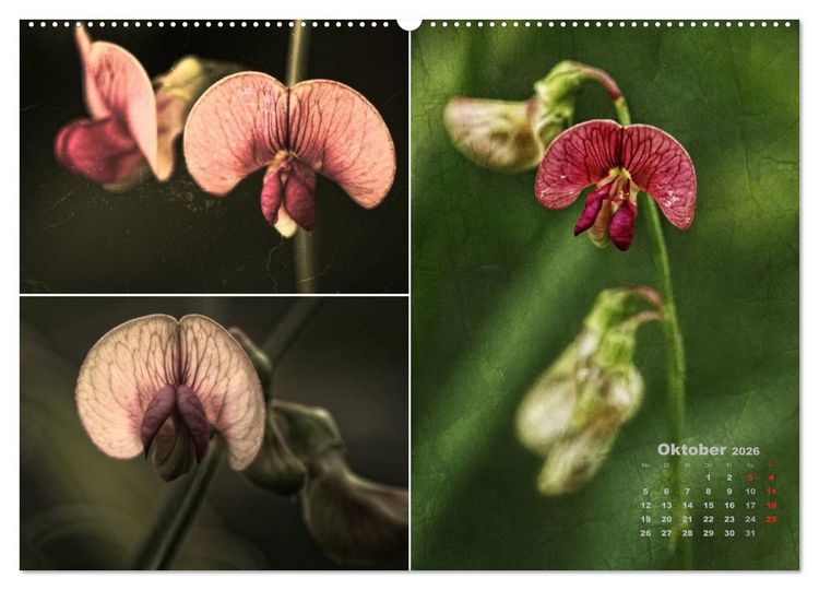 Produktbild: Blumenreise 2026 (hochwertiger Premium Wandkalender 2026 DIN A2 quer), Kunstdruck in Hochglanz