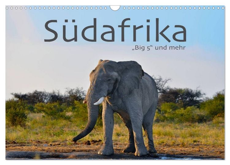 Produktbild: S&uuml;dafrika - Big 5 und mehr (Wandkalender 2026 DIN A3 quer), CALVENDO Monatskalender