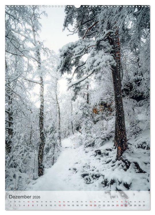 Produktbild: Winter Spaziergang (Wandkalender 2026 DIN A2 hoch), CALVENDO Monatskalender