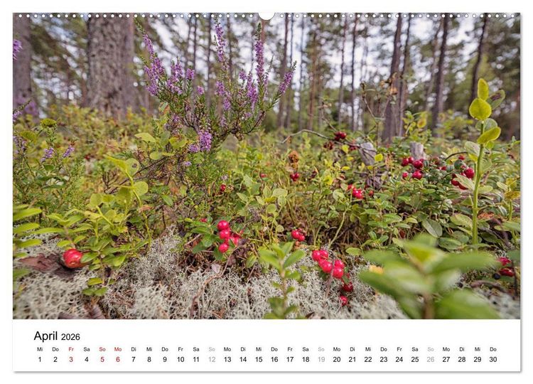 Produktbild: Schweden - Die Highlights von Sm&aring;land bis zur Westk&uuml;ste (hochwertiger Premium Wandkalender 2026 DIN A2 quer), Kunstdruck in Hochglanz