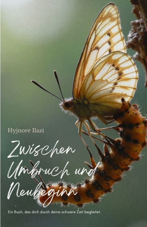 Produktbild: Zwischen Umbruch und Neubeginn