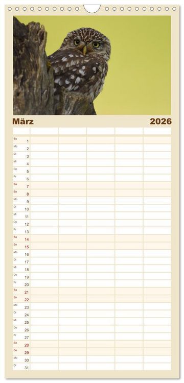 Produktbild: Familienplaner 2026 - Faszination Steinkauz mit 5 Spalten (Wandkalender, 21 x 45 cm) CALVENDO