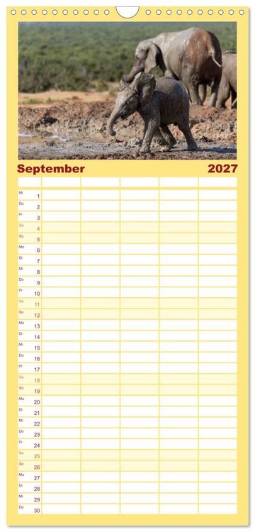 Produktbild: Familienplaner 2027 - Afrikas Tierwelt: Elefantenbabys mit 5 Spalten (Wandkalender, 21 x 45 cm) CALVENDO