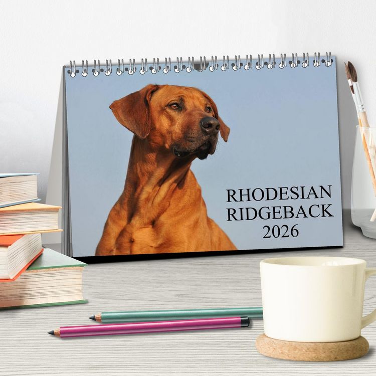 Produktbild: Rhodesian Ridgeback 2026 (Tischkalender 2026 DIN A5 quer), CALVENDO Monatskalender