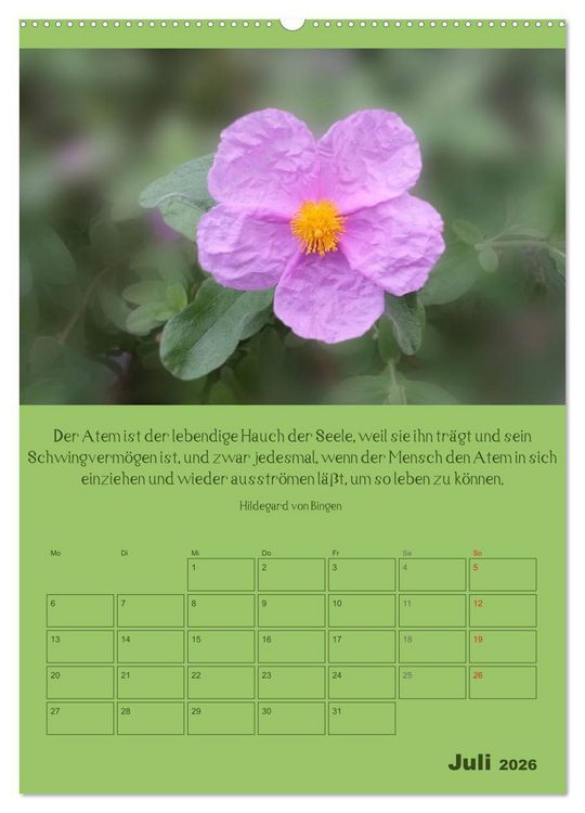 Produktbild: Erkenntnis und Weisheit - Hildegard von Bingen (hochwertiger Premium Wandkalender 2026 DIN A2 hoch), Kunstdruck in Hochglanz