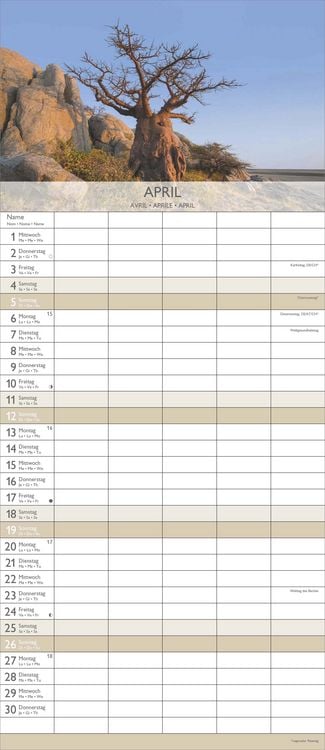 Produktbild: Traumziele 2026 Familienplaner - Familienkalender - Wandkalender - 19,5x45