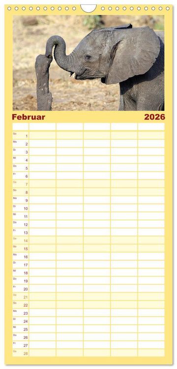 Produktbild: Familienplaner 2026 - Elefanten in Afrika mit 5 Spalten (Wandkalender, 21 x 45 cm) CALVENDO