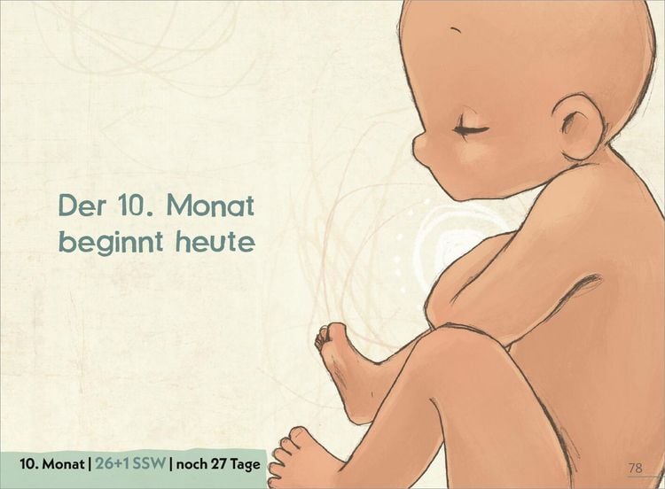Produktbild: Deine Schwangerschaft Tag f&uuml;r Tag