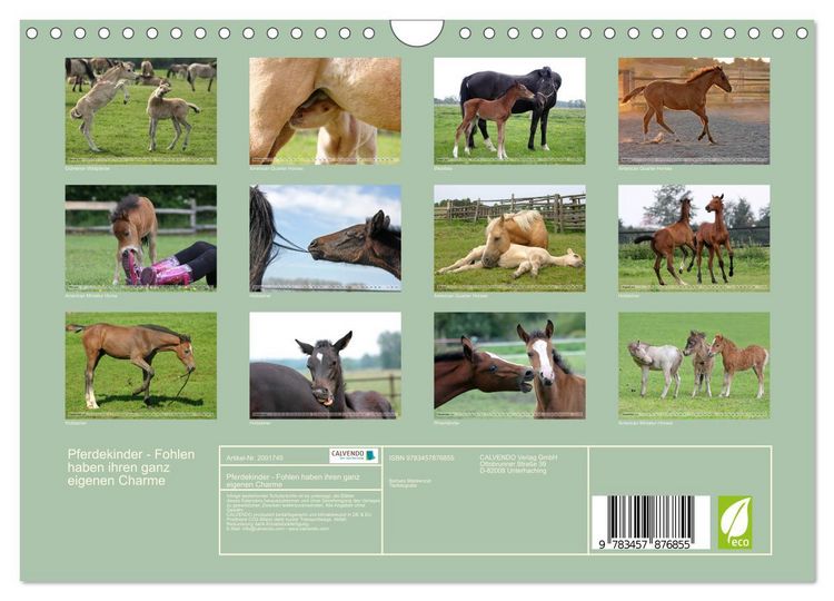 Produktbild: Pferdekinder - Fohlen haben ihren ganz eigenen Charme (Wandkalender 2026 DIN A4 quer), CALVENDO Monatskalender
