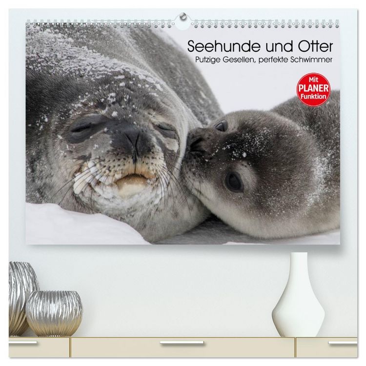 Produktbild: Seehunde und Otter. Putzige Gesellen, perfekte Schwimmer (hochwertiger Premium Wandkalender 2026 DIN A2 quer), Kunstdruck in Hochglanz