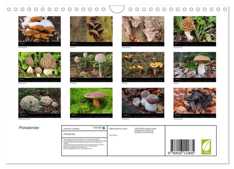 Produktbild: Pilzkalender (Wandkalender 2026 DIN A4 quer), CALVENDO Monatskalender