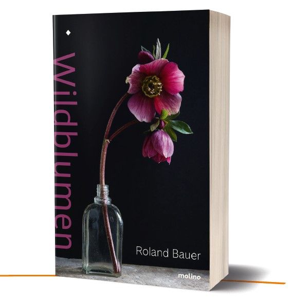 Produktbild: Wildblumen