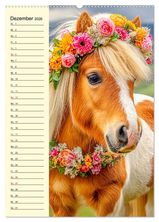 Produktbild: Zauber der Ponys. Kleine Pferde in der Natur (Wandkalender 2026 DIN A2 hoch), CALVENDO Monatskalender