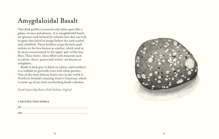 Produktbild: The Pebble Spotter's Guide - National Trust Edition