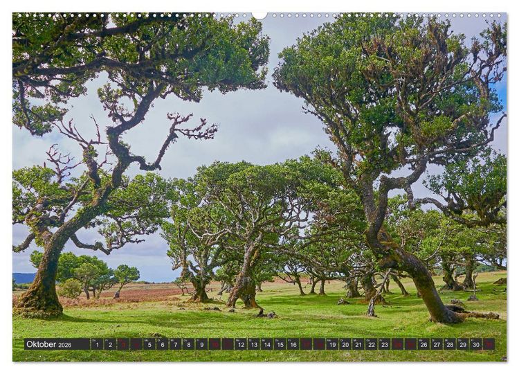 Produktbild: Madeira - Juwel im Atlantik (hochwertiger Premium Wandkalender 2026 DIN A2 quer), Kunstdruck in Hochglanz