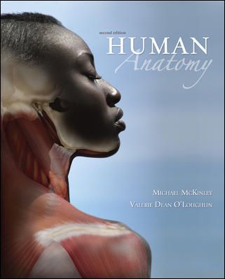 Produktbild: Human Anatomy