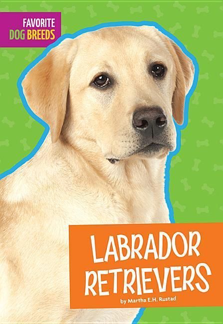 Produktbild: Labrador Retrievers