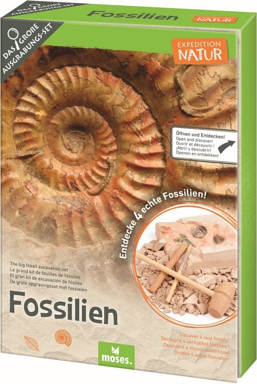 Produktbild: Expedition Natur Das gro&szlig;e Fossilien-Ausgrabungs-Set