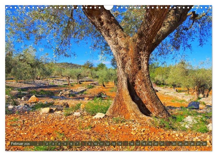 Produktbild: Costa del Azahar - K&uuml;ste der Orangenbl&uuml;te (Wandkalender 2026 DIN A3 quer), CALVENDO Monatskalender