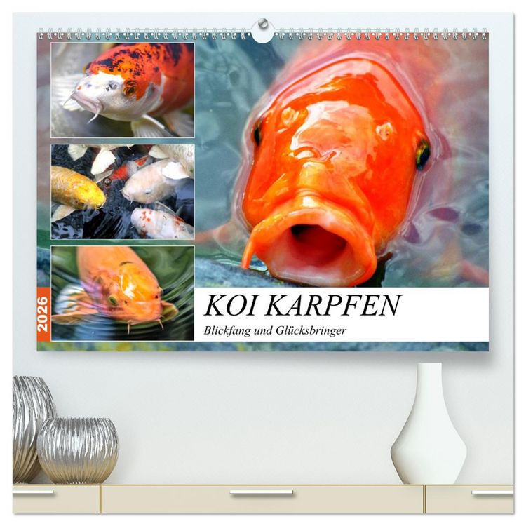 Produktbild: Koi Karpfen. Blickfang und Gl&uuml;cksbringer (hochwertiger Premium Wandkalender 2026 DIN A2 quer), Kunstdruck in Hochglanz