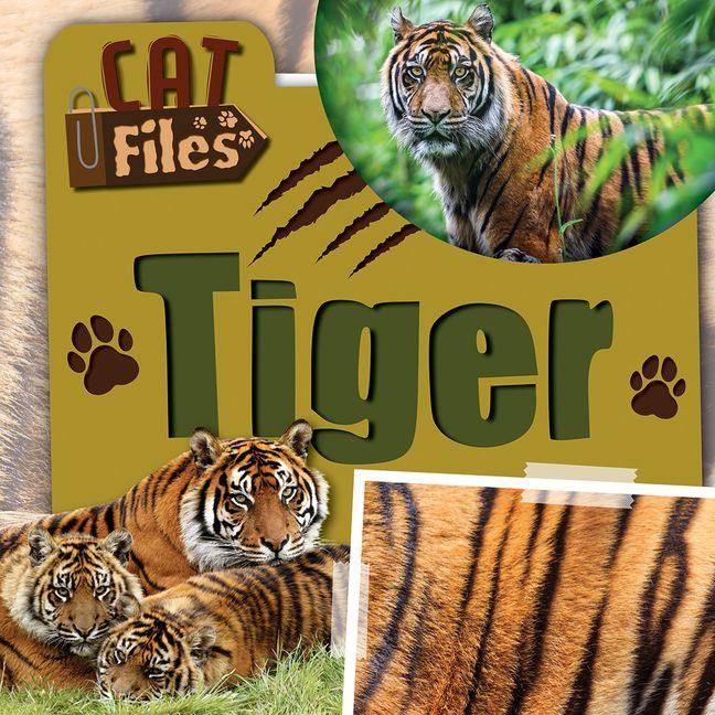Produktbild: Tiger