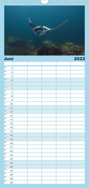 Produktbild: Tauchen, Fische und Meer - Familienplaner hoch (Wandkalender 2022 , 21 cm x 45 cm, hoch)