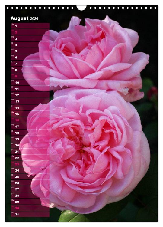 Produktbild: Rosen f&uuml;r DICH / Geburtstagskalender (Wandkalender 2026 DIN A3 hoch), CALVENDO Monatskalender