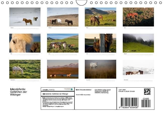 Produktbild: Islandpferde: Gef&auml;hrten der Wikinger (Wandkalender immerw&auml;hrend DIN A4 quer)