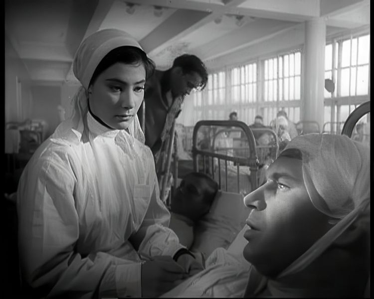 Produktbild: Wenn die Kraniche ziehen - Special Restored Edition (DEFA Filmjuwelen)