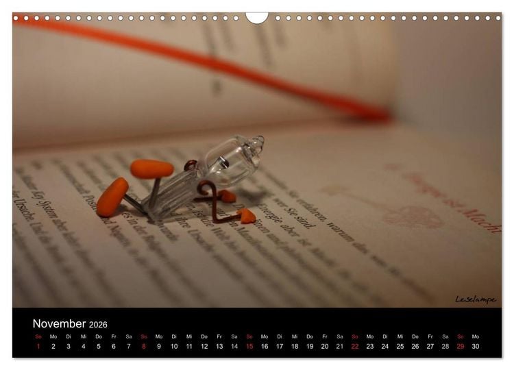 Produktbild: Bernie Blitz - Eine Birne sucht Erleuchtung (Wandkalender 2026 DIN A3 quer), CALVENDO Monatskalender