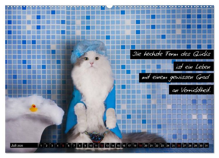 Produktbild: Der "philosophische" Katzenkalender 2026 (hochwertiger Premium Wandkalender 2026 DIN A2 quer), Kunstdruck in Hochglanz