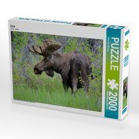 Produktbild: CALVENDO Puzzle Elch 2000 Teile Lege-Gr&ouml;&szlig;e 90 x 67 cm Foto-Puzzle Bild von Dieter-M. Wilczek