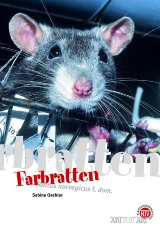 Produktbild: Farbratten