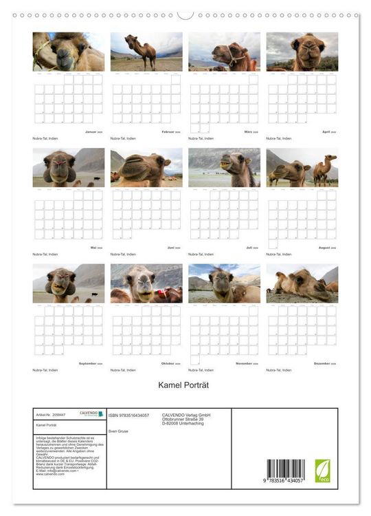Produktbild: Kamel Portr&auml;t (hochwertiger Premium Wandkalender 2026 DIN A2 hoch), Kunstdruck in Hochglanz