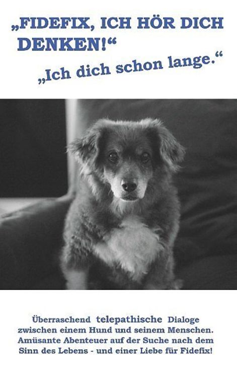 Produktbild: Fidefix, ich hör dich denken