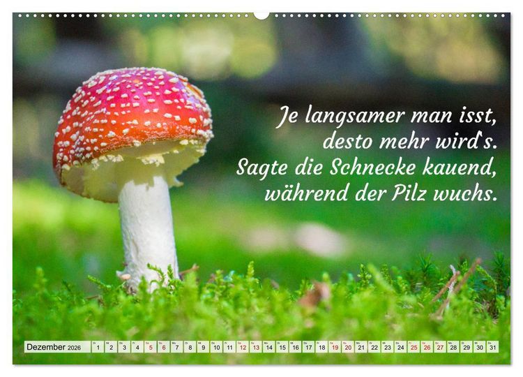 Produktbild: Junge, was hast du`s eilig (hochwertiger Premium Wandkalender 2026 DIN A2 quer), Kunstdruck in Hochglanz