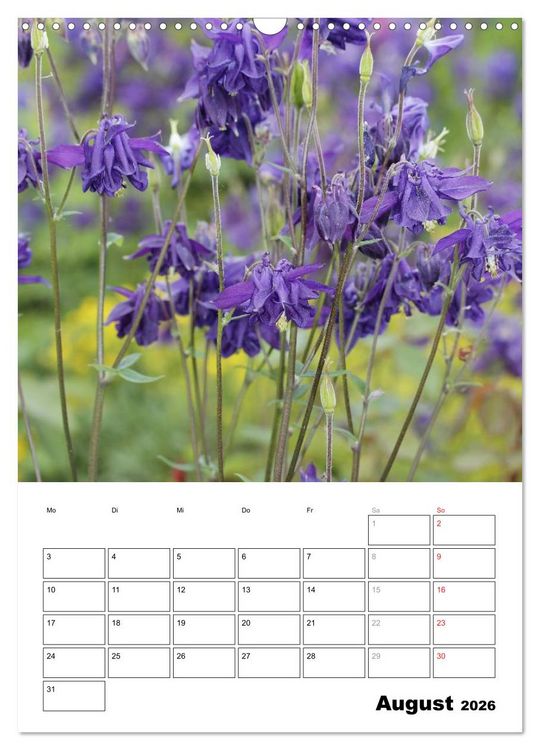 Produktbild: Zauberhafte Akeleien (Wandkalender 2026 DIN A3 hoch), CALVENDO Monatskalender