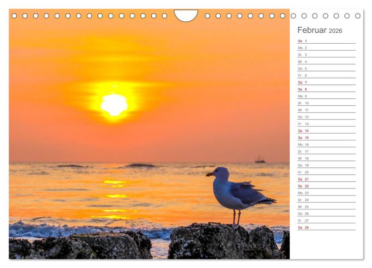 Produktbild: Nodseeinsel Sylt - Impressionen der beliebtesten Insel Deutschlands (Wandkalender 2026 DIN A4 quer), CALVENDO Monatskalender