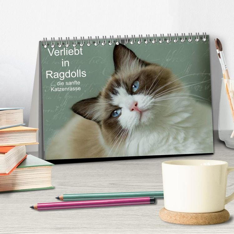 Produktbild: Verliebt in Ragdolls ... die sanfte Katzenrasse (Tischkalender 2026 DIN A5 quer), CALVENDO Monatskalender