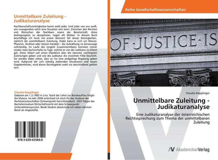 Produktbild: Unmittelbare Zuleitung - Judikaturanalyse