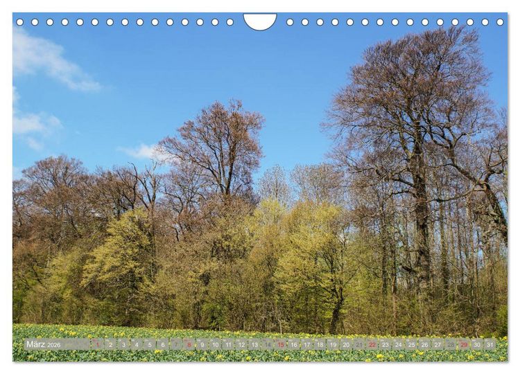Produktbild: M&uuml;nsterland - Vielf&auml;ltige Sch&ouml;nheit (Wandkalender 2026 DIN A4 quer), CALVENDO Monatskalender