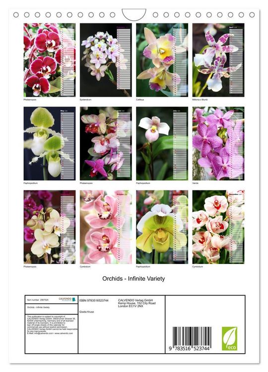 Produktbild: Orchids - Infinite Variety (Wall Calendar 2026 DIN A4 portrait), CALVENDO 12 Month Wall Calendar